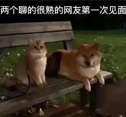 那些跟亲密关系有关的心理学“效应”，你都知道几个?