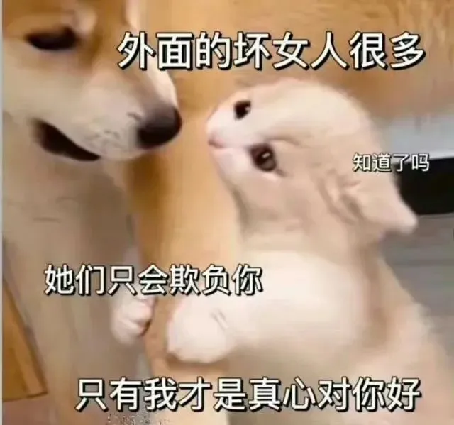 那些跟亲密关系有关的心理学“效应”，你都知道几个?