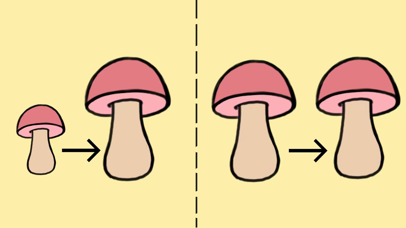 丁丁居然有这么多模样!