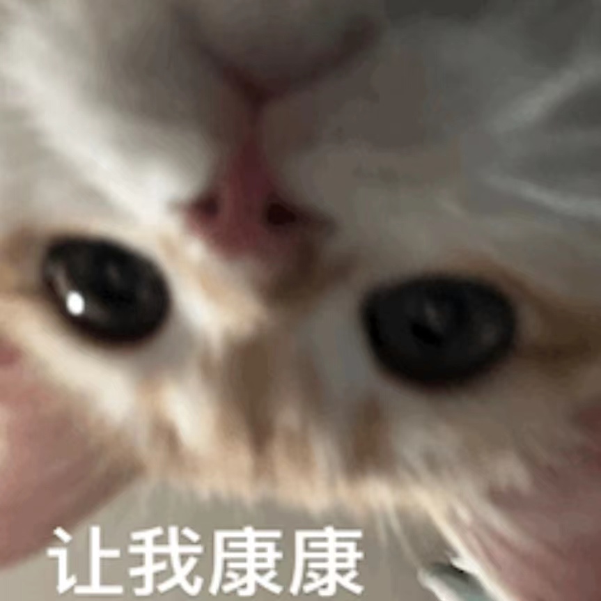丁丁居然有这么多模样！