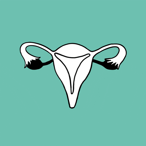 不同生理期产品都有什么优缺点？