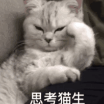 喝豆浆能丰胸吗？那些风很大的丰胸小妙招