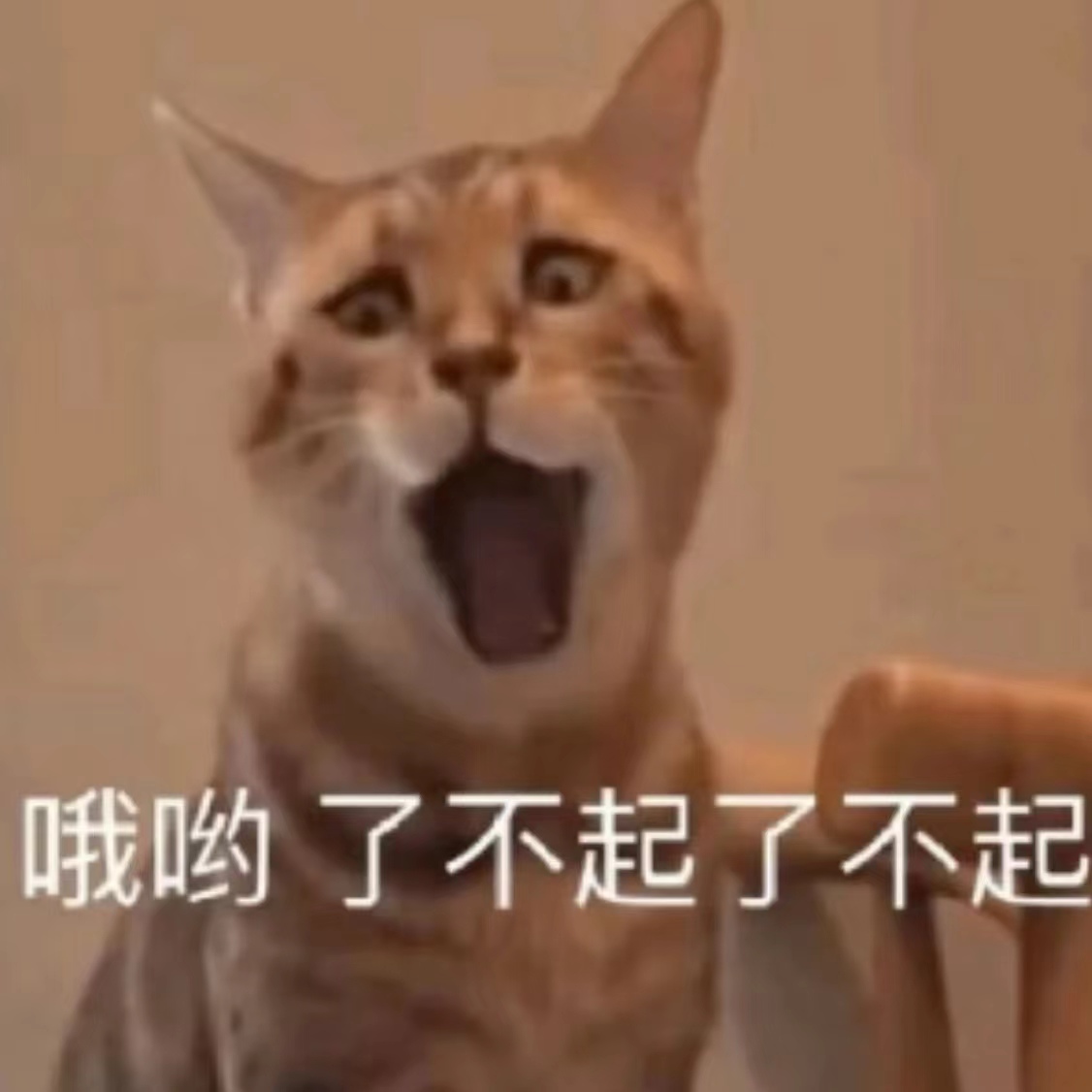 喝豆浆能丰胸吗？那些风很大的丰胸小妙招