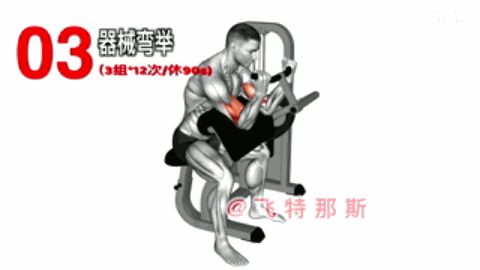 男人想要提高战斗能力,应该怎么练?