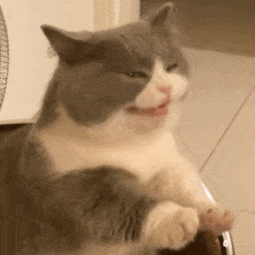 毛茸茸的角色扮演，你喜欢吗?