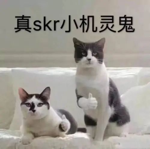 为什么女生的内裤前面都有个小蝴蝶结?