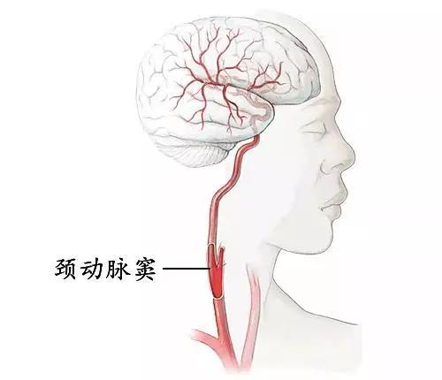 和对象亲热时，要注意避开哪些地方？