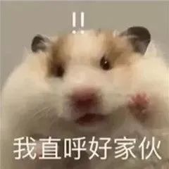 寸止到底是怎么回事？
