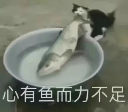真的有人能“一夜七次”吗？
