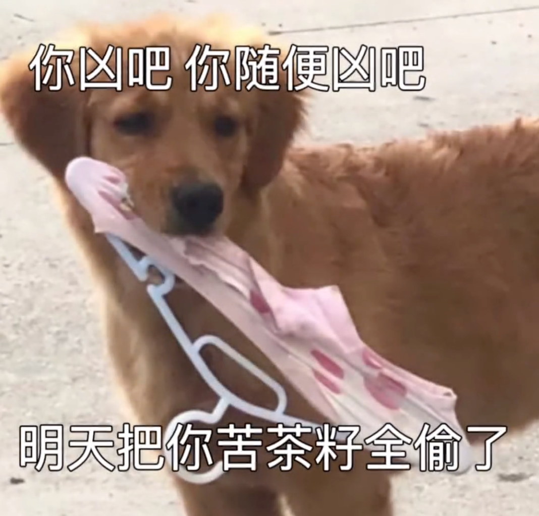 为什么男生最好别穿三角内裤?