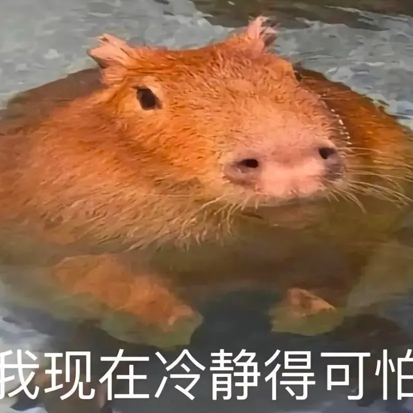 为什么人的屁股缝里也会有毛？