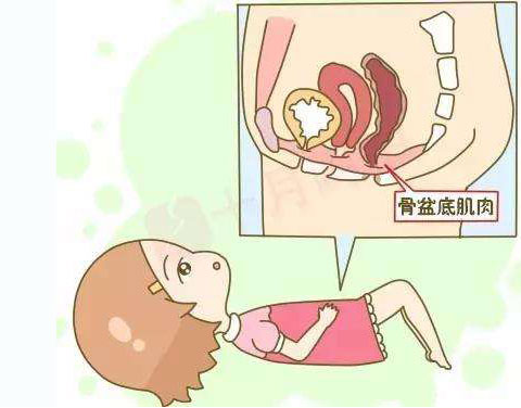 看过来!教你最正确缩阴球的用法