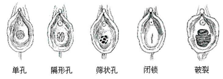 处女真的不能享受成人玩具带来的快乐吗