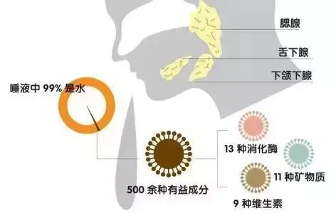 小情侣舌吻的时候为什么不会觉得恶心？