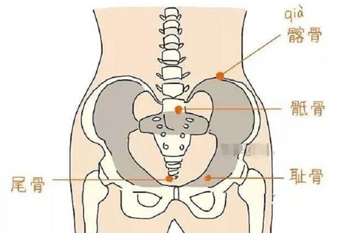 盆骨修复有必要吗？图文详解