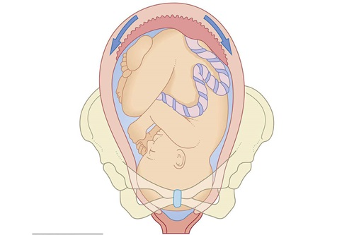 盆骨修复有必要吗？图文详解