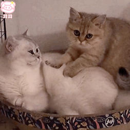 5招让你从‘冷战’变‘热恋’，感情秒升温！