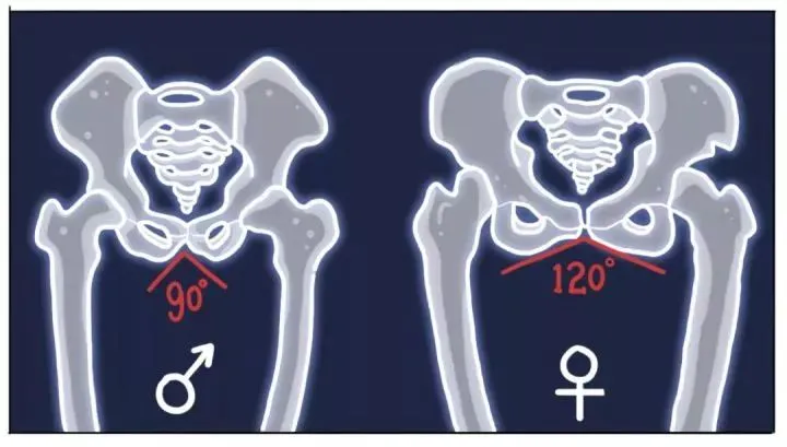 为什么男人总喜欢岔开腿坐着?