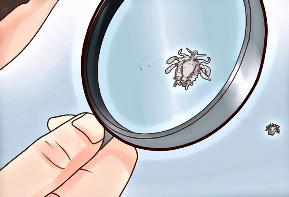 天呐，私处居然还会长虫子？