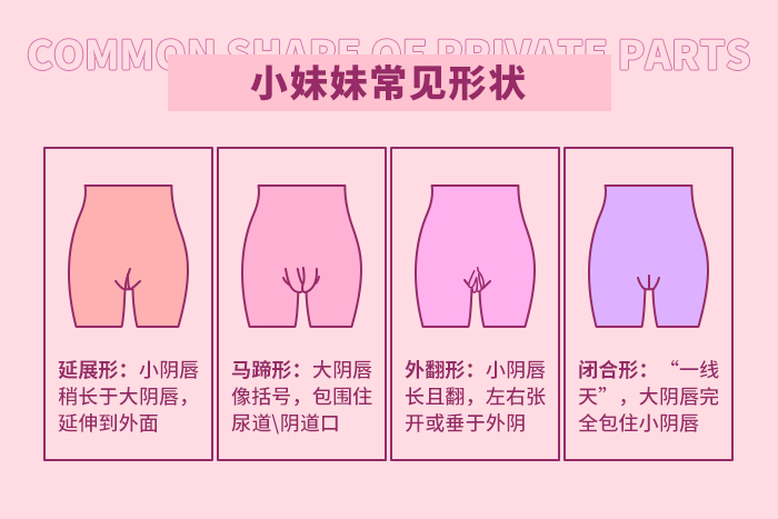 小妹妹都有哪些形状
