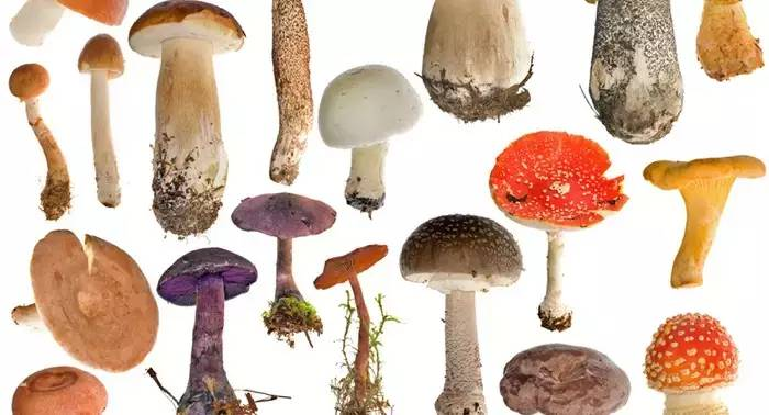 你的丁丁尺寸能满足她吗？女人最爱的丁丁尺寸居然是……