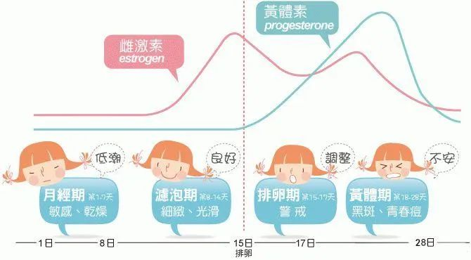 月经周期