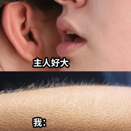 适当的耳语