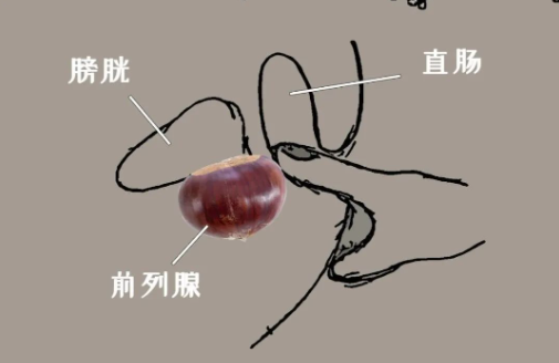 能让猛男落泪？前列腺高潮有多爽
