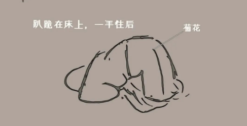 趴跪