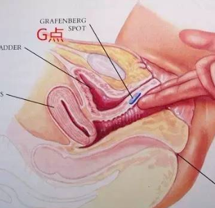 G点