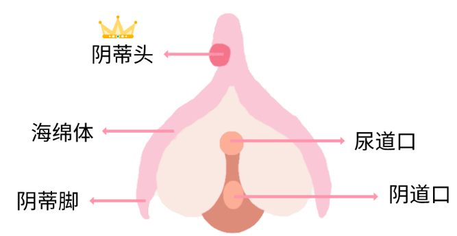 手爱