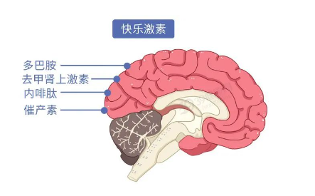 抑制消极情绪