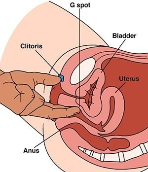 G点按摩棒,让你享受无与伦比的快感