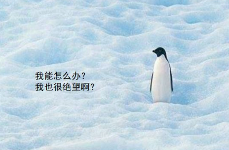 为什么总在春天发春？