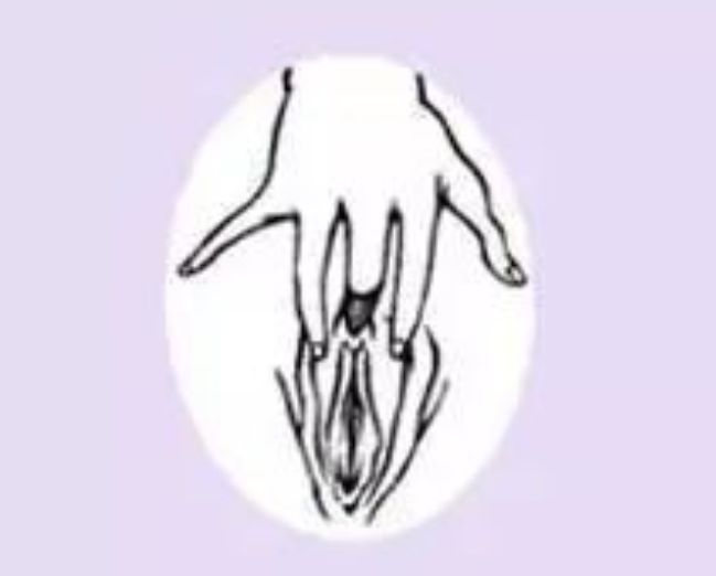 三指法