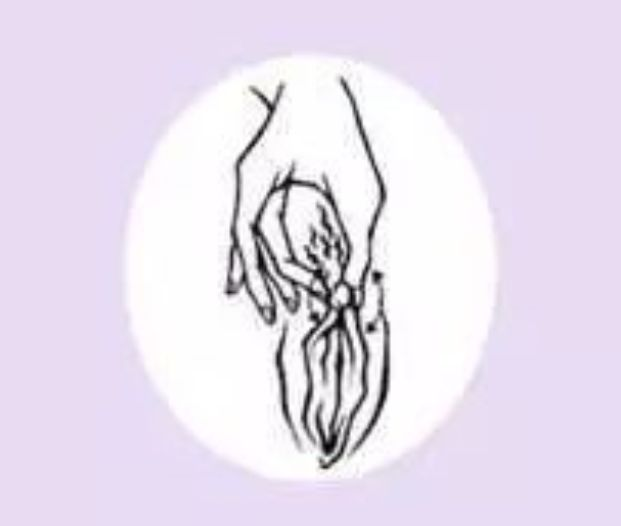 轮指法