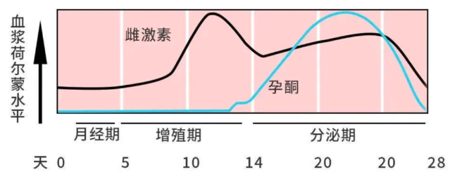受到激素控制