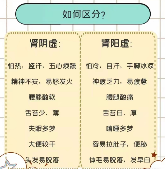 肾虚分类
