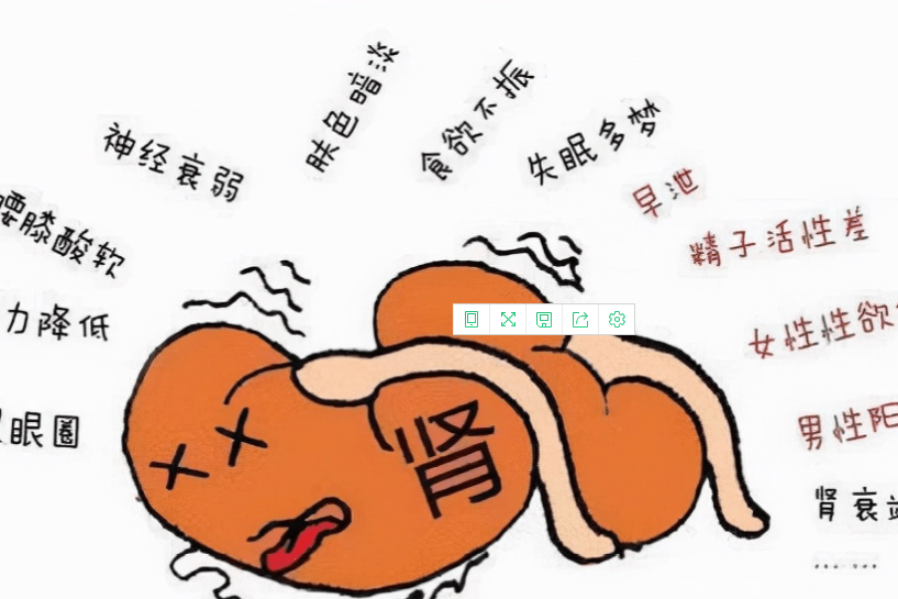长期的肾虚是不是恢复不过来了?