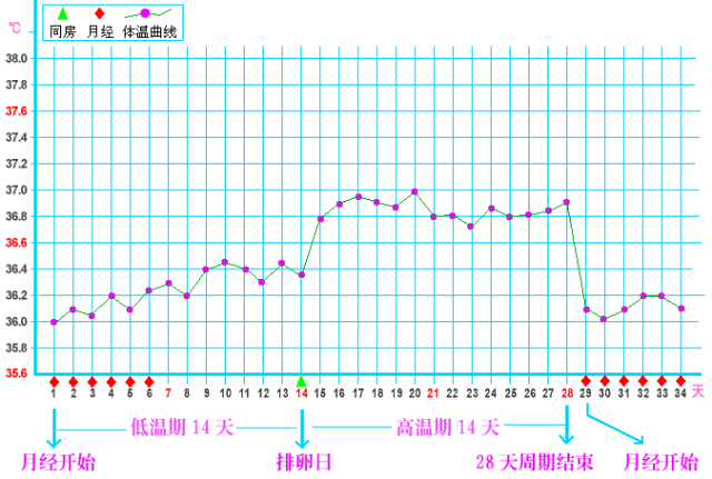 测体温