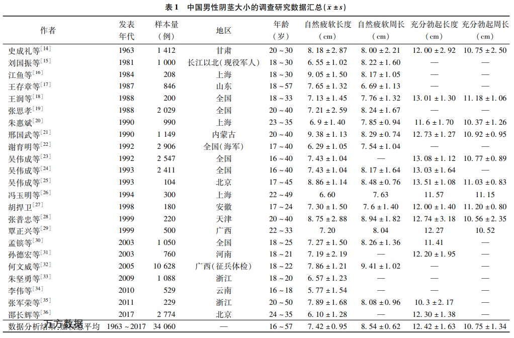 丁丁大小