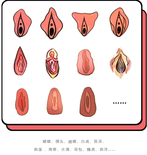 多达好几十种