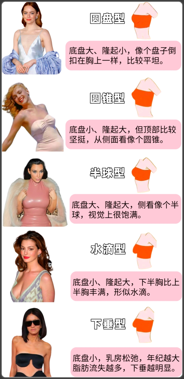 女生的胸型