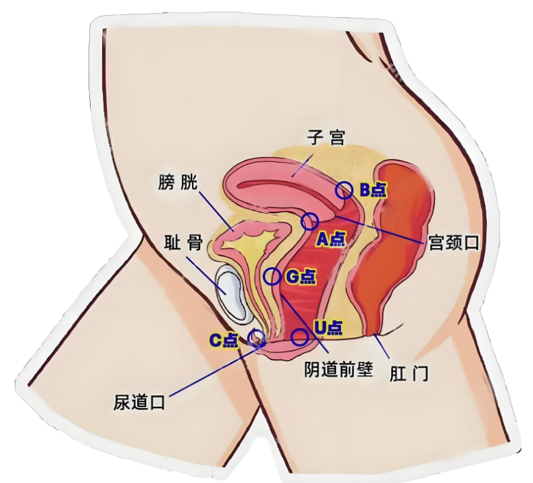 ▲CUGAB点示意图
