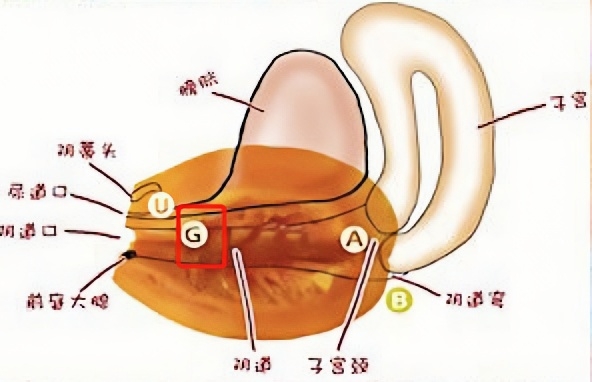 ▲G点即上图红框指示的位置
