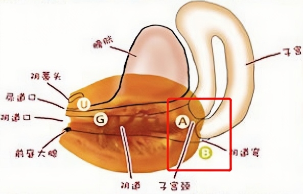 ▲AB点即上图红框指示的位置