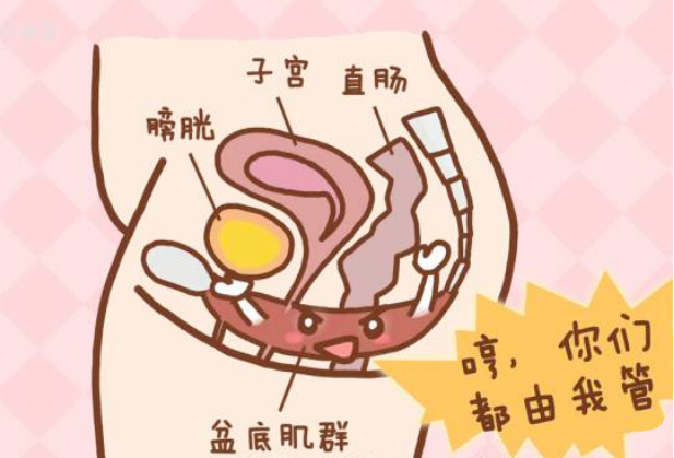 想提升产后爱爱愉悦感？试试盆底肌锻炼