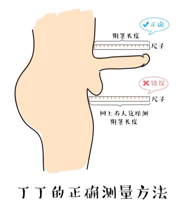 女孩子也不必觉得对方好短啊