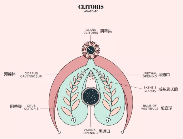 G点位置
