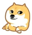 (咳咳咳，装作什么都不知道的样几 )